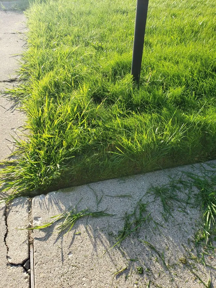 Custom landscaping services in Aurora, IL - Galvan's Landscaping