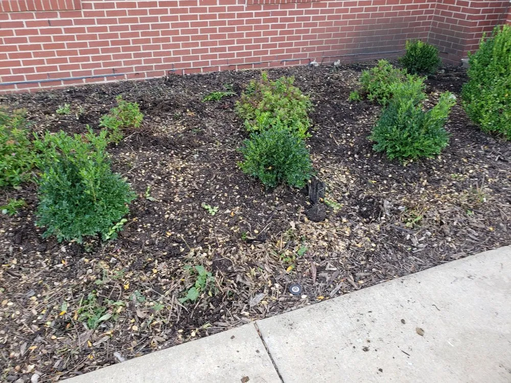 Expert lawn care service experts serving Aurora, IL - Galvan's Landscaping