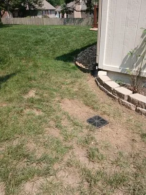 Galvan's Lawn and Landscape