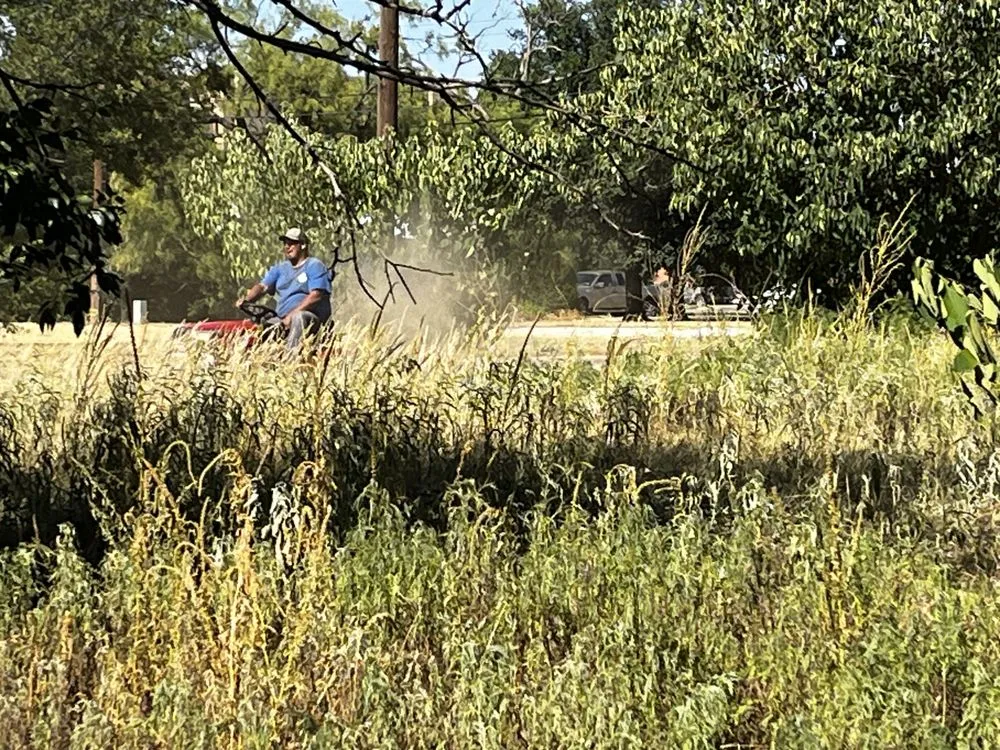 Reliable yard cleanup service experts serving Abilene, TX - Galvan's RRR