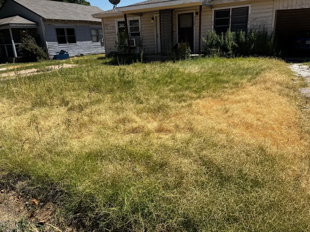 Professional garden landscaping for homes across Abilene, TX - Galvan's RRR