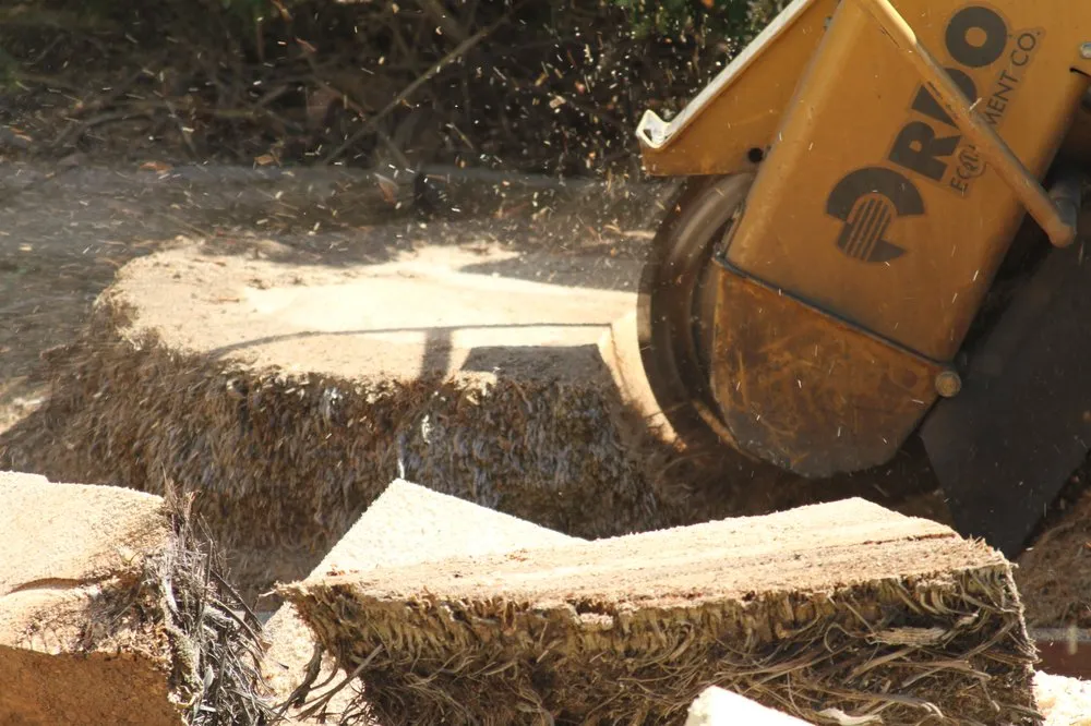 Reliable residential landscaping experts serving Antioch, CA - Galvan's Tree Service & Landscaping