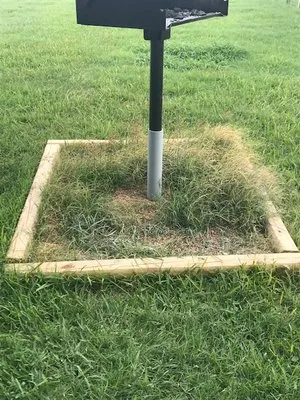 Galveston Landscaping & Lawn Services Logo