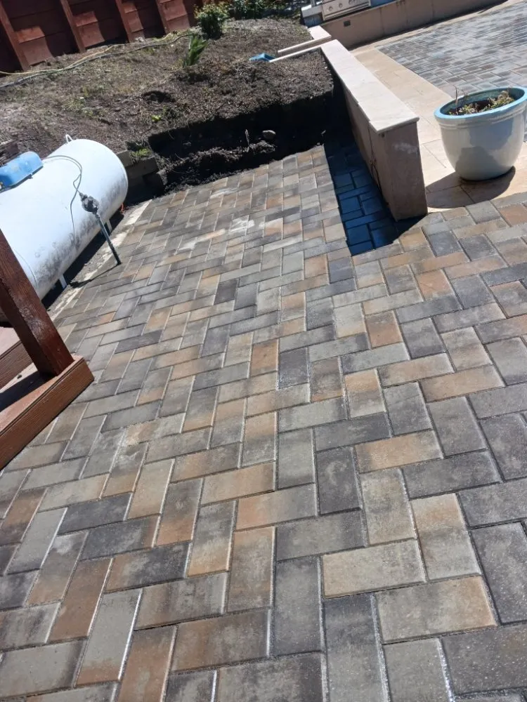 Local lawn care service near you in Mountain View, CA by Galvez Landscaping