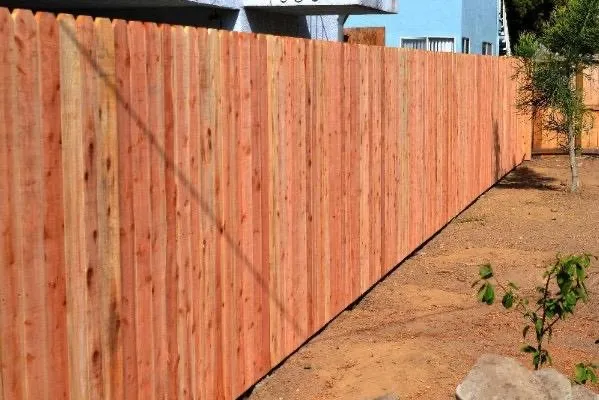 Reliable yard cleanup service for homes across Newark, CA - Galza Landscaping