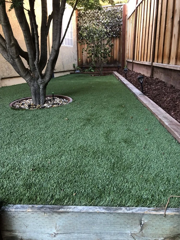 Top-rated landscaping services in Newark, CA by Galza Landscaping