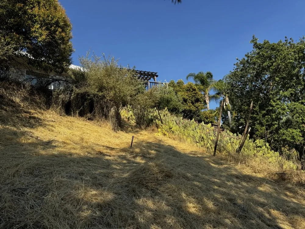 Custom yard cleanup service for beautiful yards in Newark, CA by Galza Landscaping