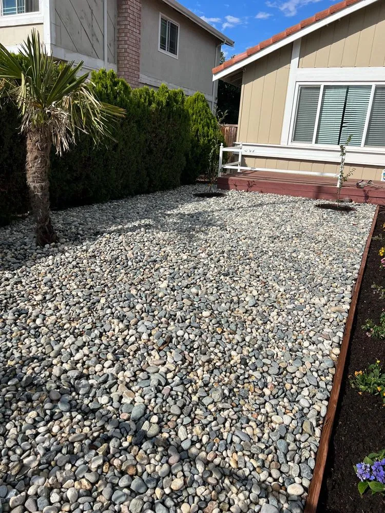 Top-rated lawn mowing service in Newark, CA by Galza Landscaping