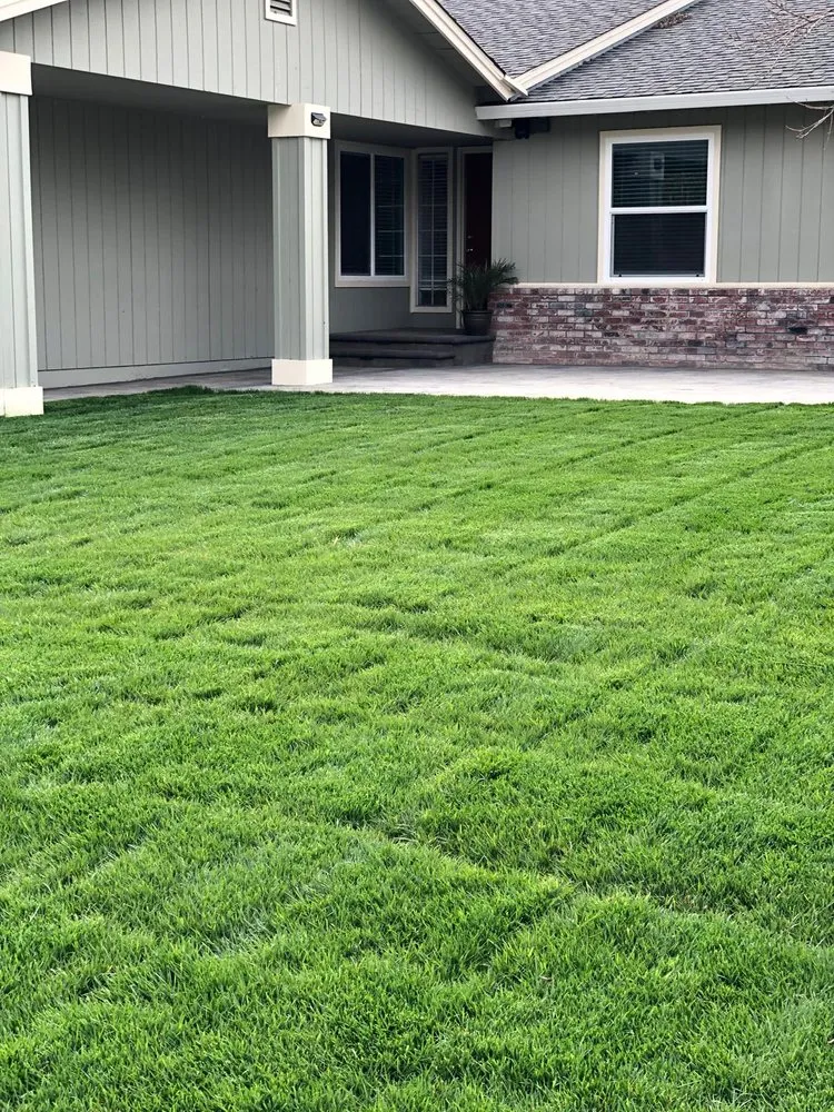 Local yard cleanup service experts serving Newark, CA - Galza Landscaping