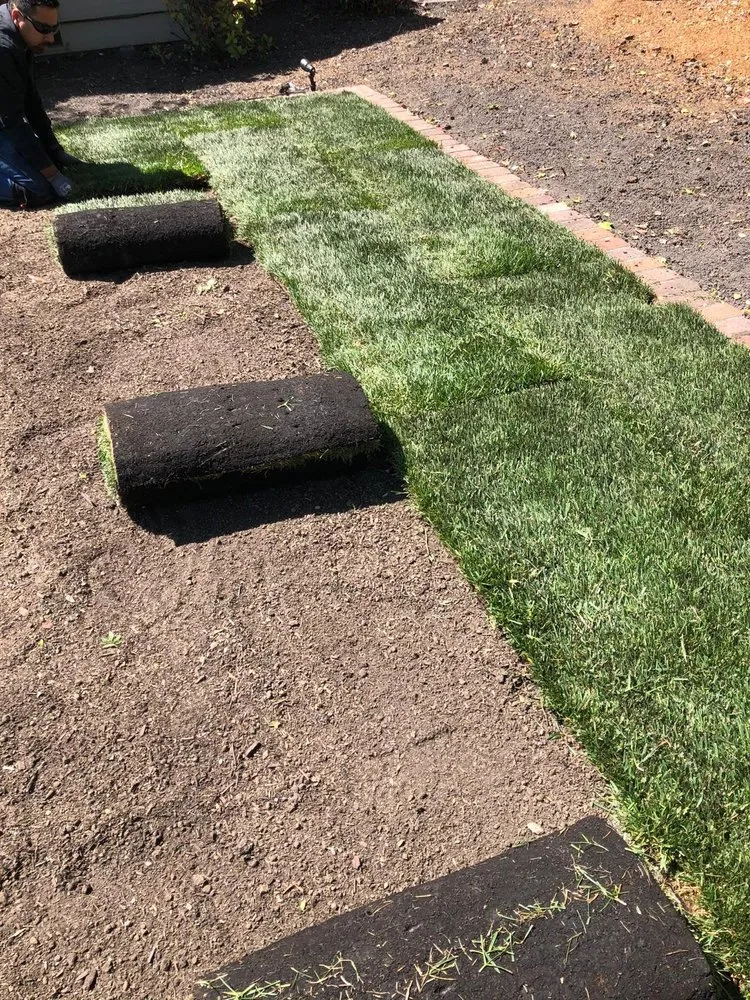 Reliable lawn mowing service in Newark, CA - Galza Landscaping