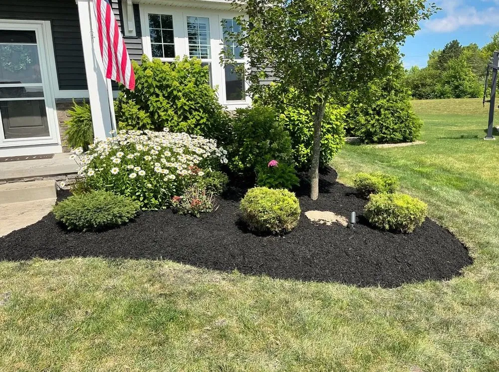 Top-rated yard cleanup service in North Royalton, OH by Gambino Landscaping