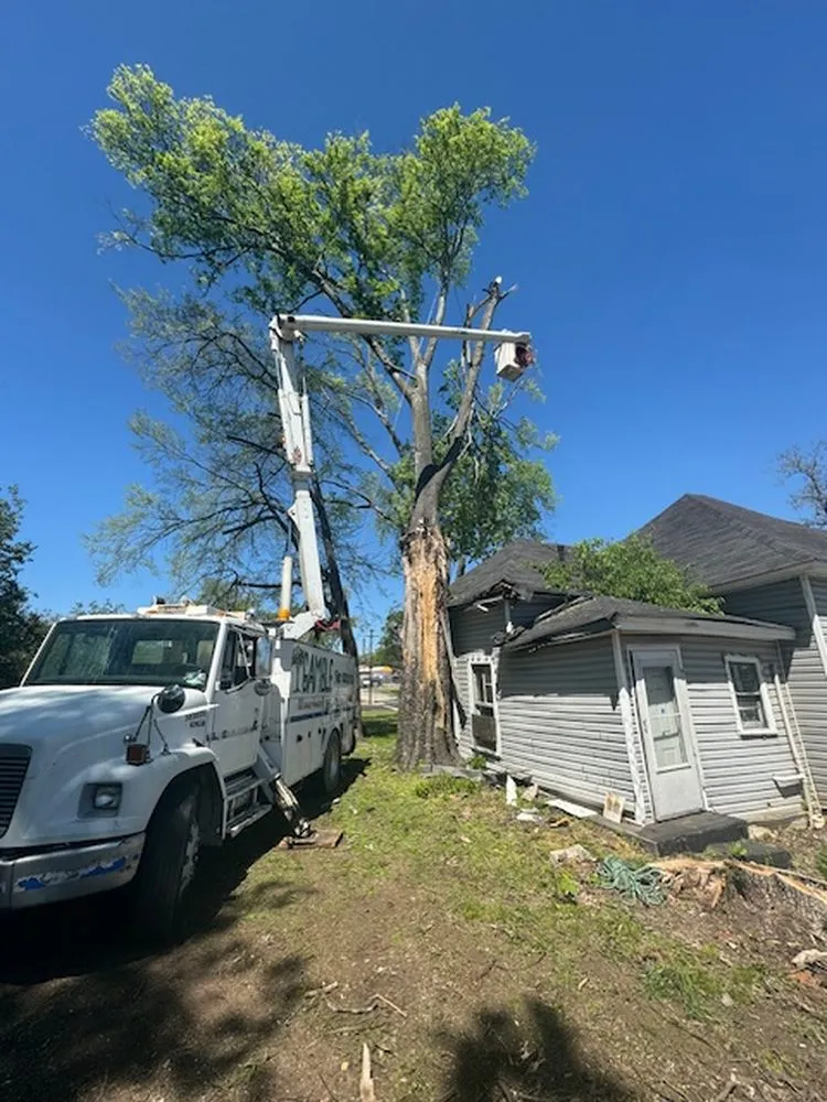 Trusted yard maintenance in Birmingham, AL - Gamble Tree Service