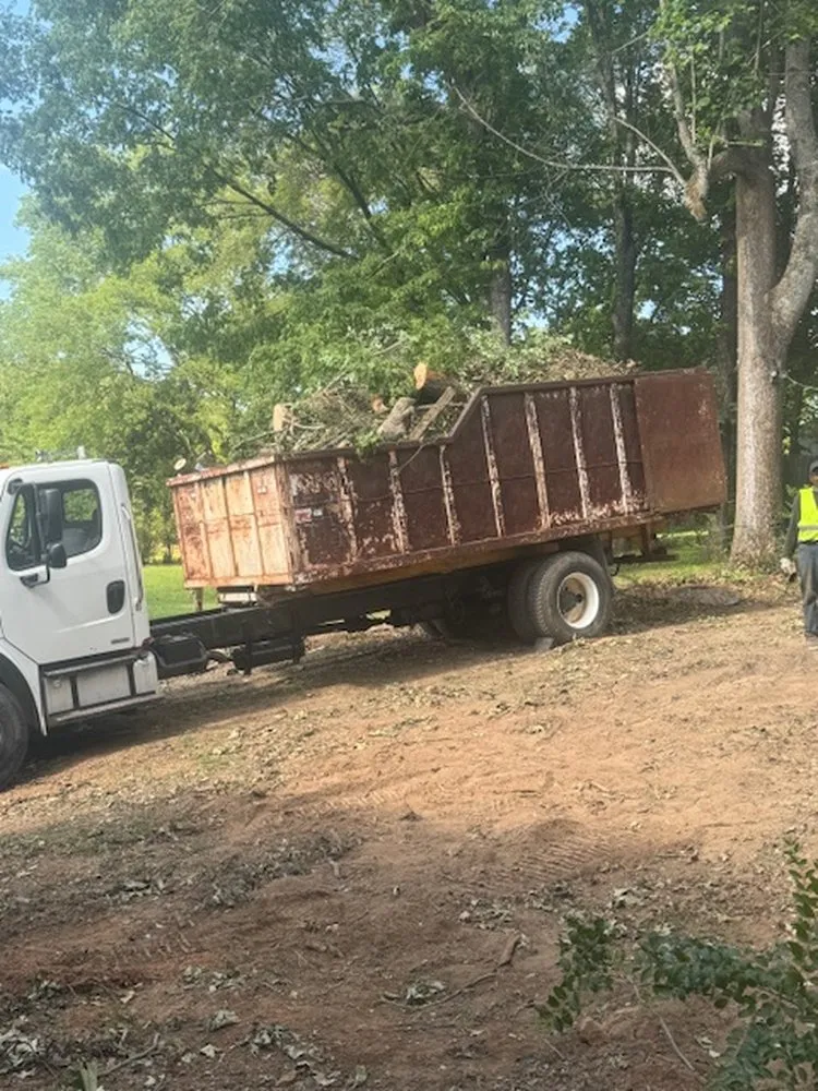 Affordable residential landscaping in Birmingham, AL by Gamble Tree Service