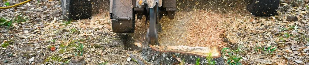 Expert lawn mowing service experts serving Birmingham, AL - Gamble Tree Service