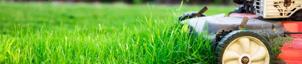 Affordable outdoor landscaping experts serving Birmingham, AL - Gamble Tree Service