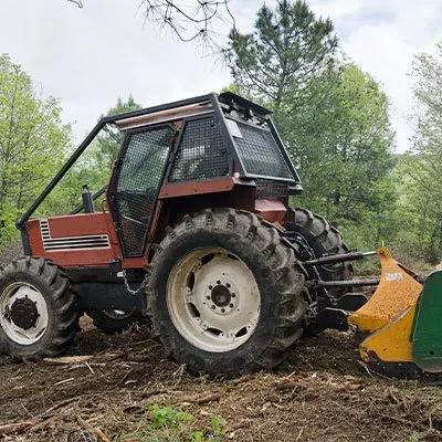 Reliable outdoor landscaping near you in Birmingham, AL by Gamble Tree Service