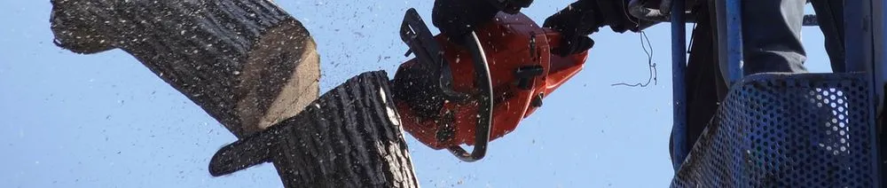 Professional yard maintenance for homes in Birmingham, AL by Gamble Tree Service