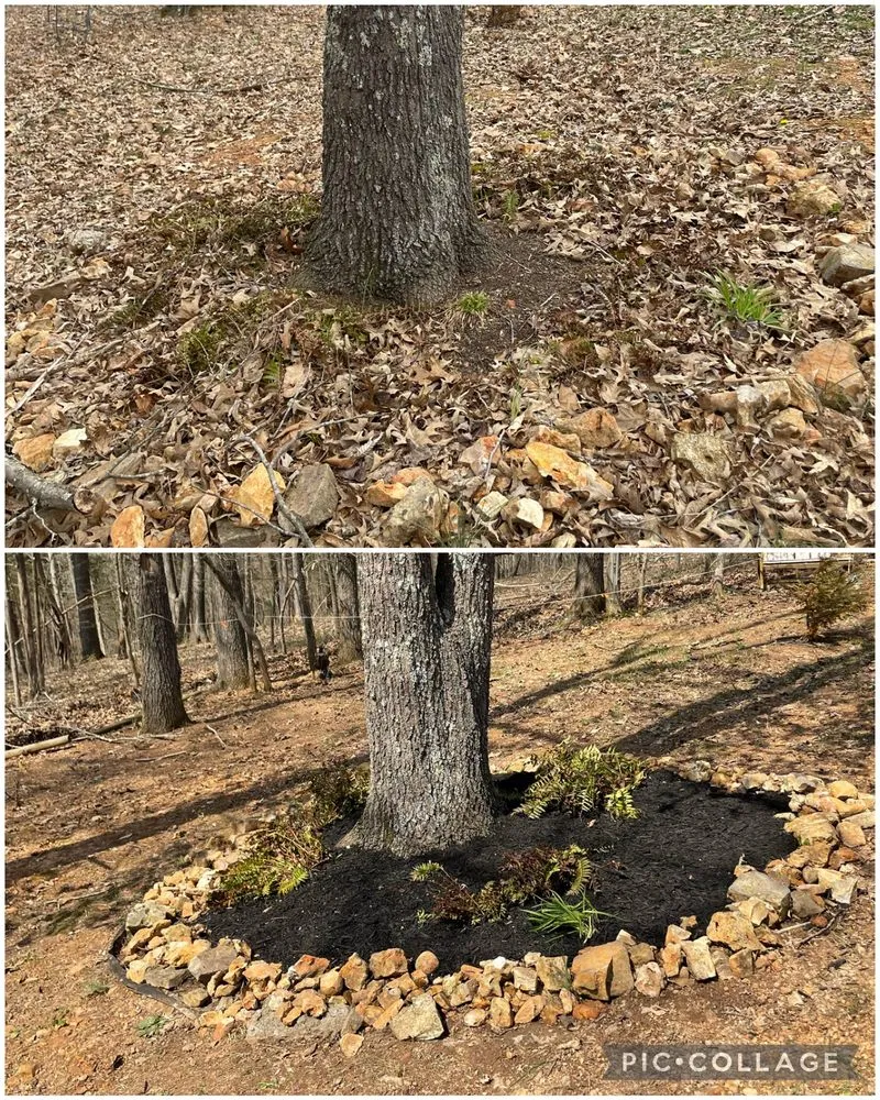 Local landscape design in Clarksville, TN - Gamble's Lawn Service