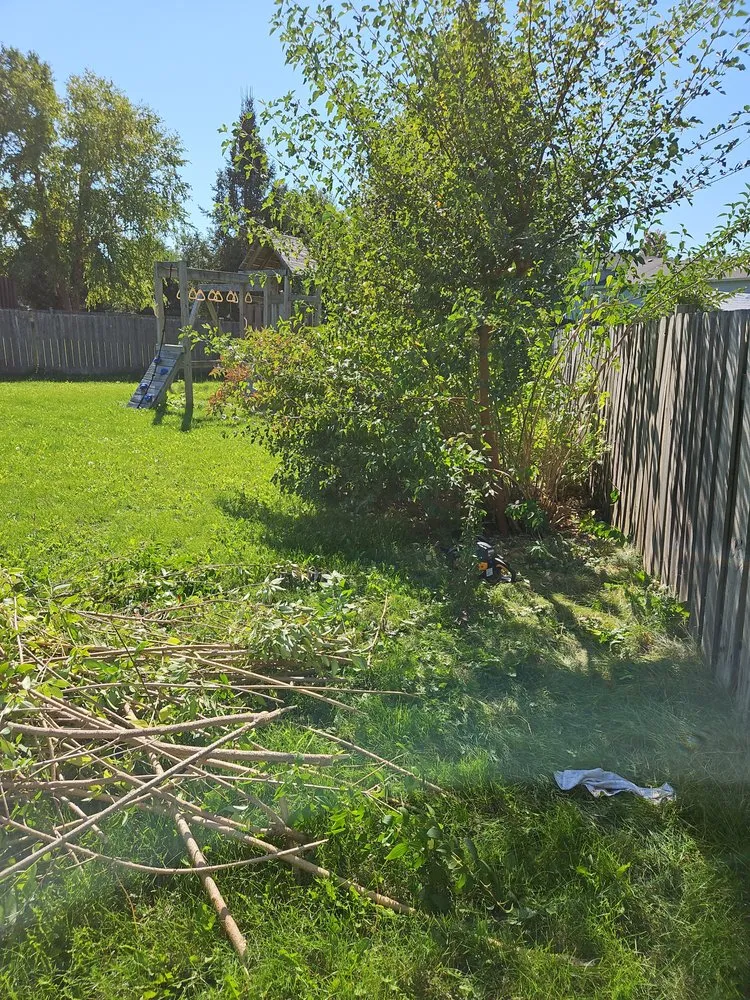 Trusted lawn care service for residential properties in Dekalb, IL by Gamboa's Landscaping