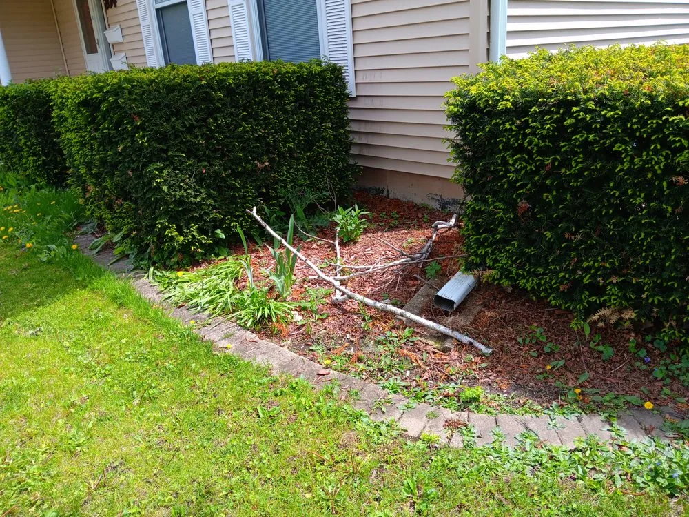 Expert yard maintenance in Dekalb, IL by Gamboa's Landscaping