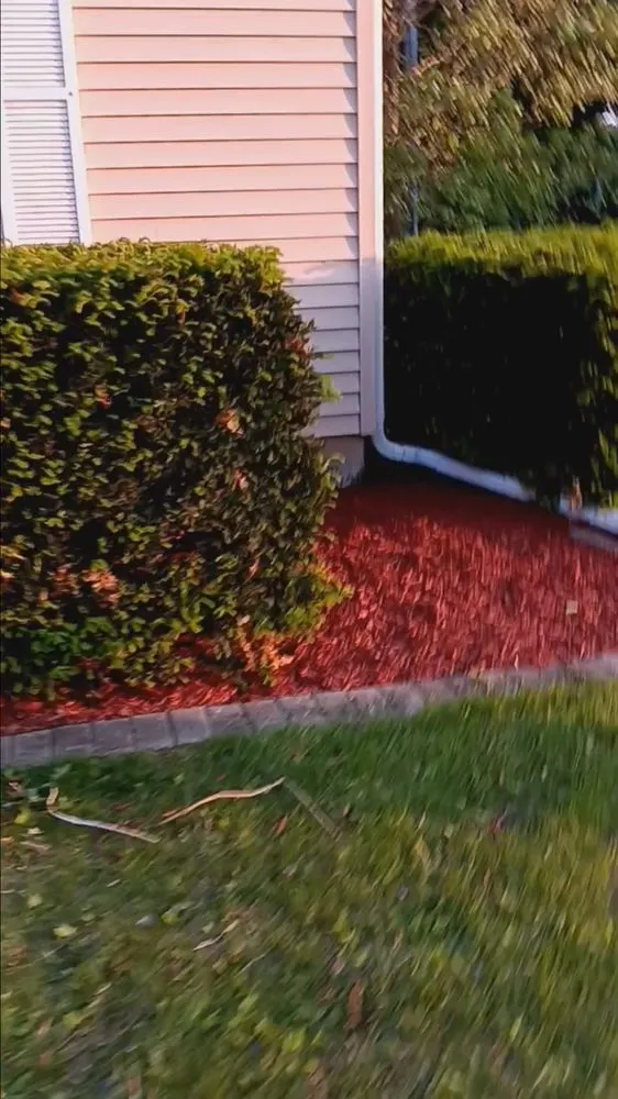 Custom yard cleanup service for homes in Dekalb, IL by Gamboa's Landscaping