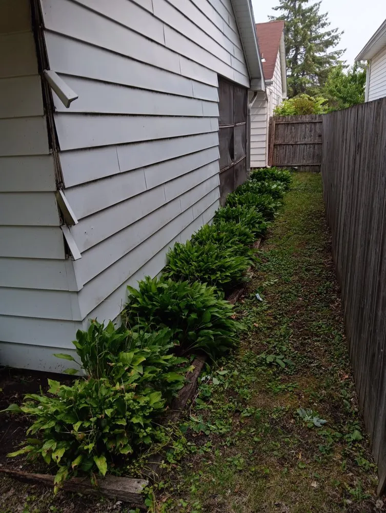 Affordable landscaping services in Dekalb, IL by Gamboa's Landscaping