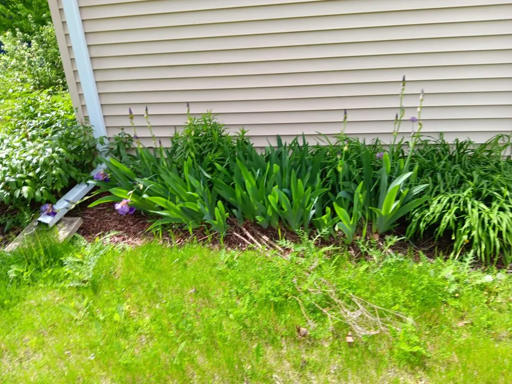 Professional landscape installation with custom design in Dekalb, IL by Gamboa's Landscaping