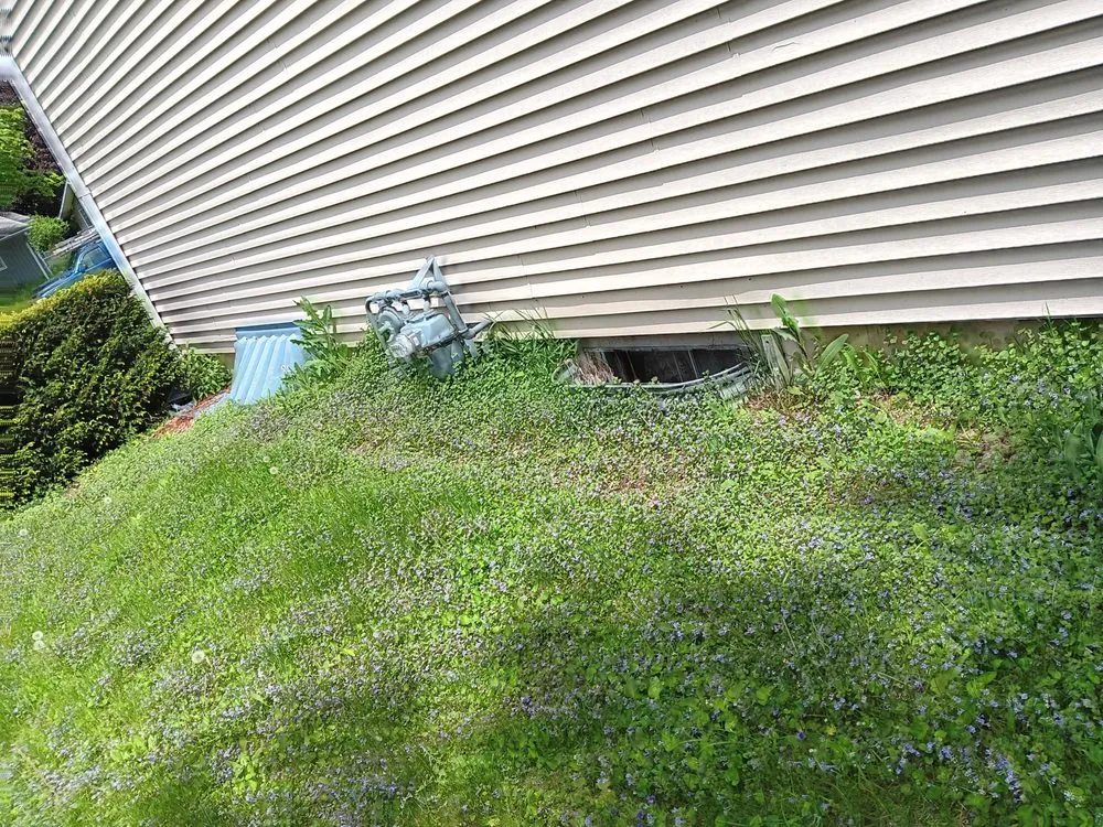 Top-rated residential landscaping in Dekalb, IL by Gamboa's Landscaping