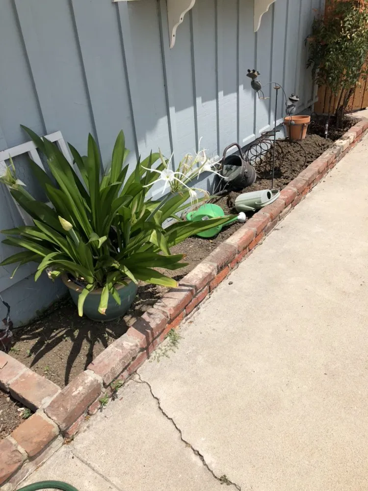 Local outdoor landscaping in Garden Grove, CA by Gamboa's Landscaping