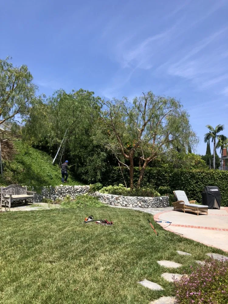 Trusted lawn care service for homes in Garden Grove, CA by Gamboa's Landscaping