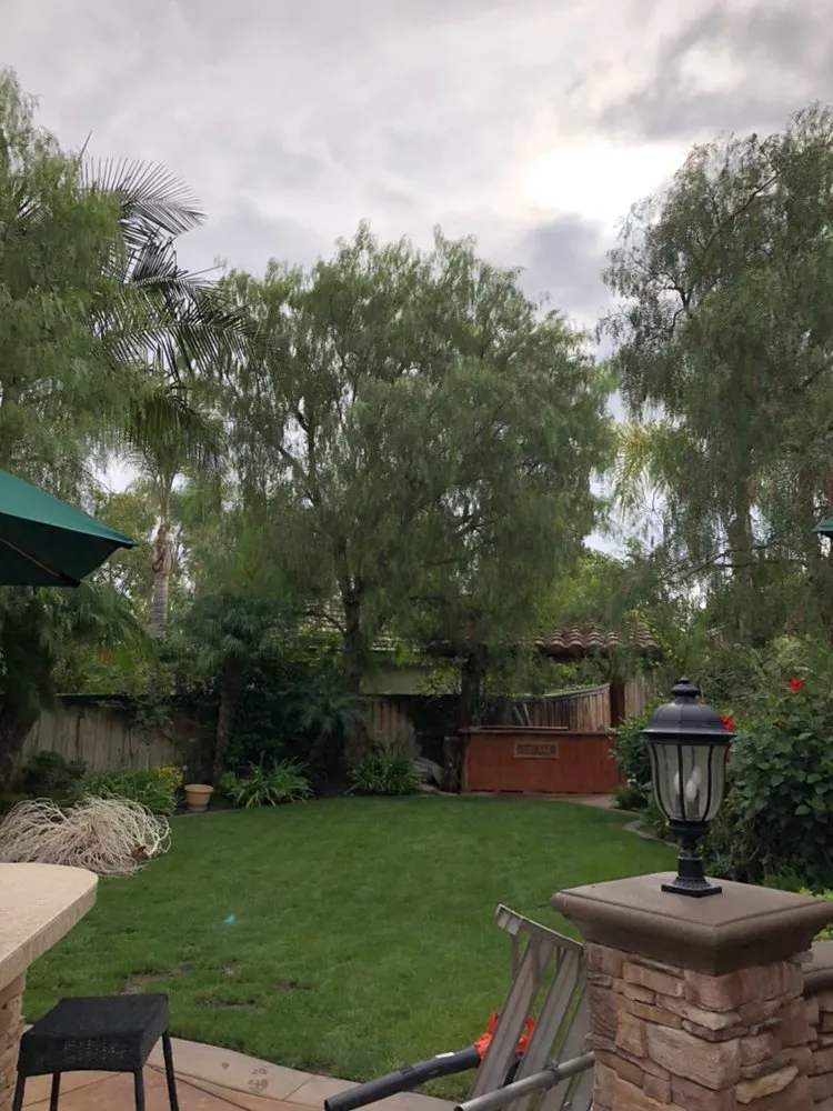 Trusted yard maintenance for year-round maintenance across Garden Grove, CA - Gamboa's Landscaping