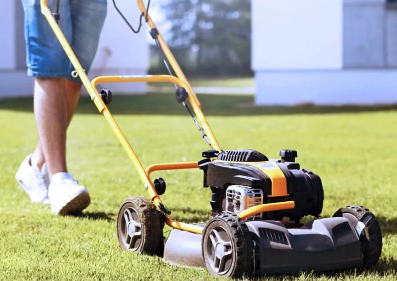 Trusted yard cleanup service experts serving Tallahassee, FL - Gameday Grass