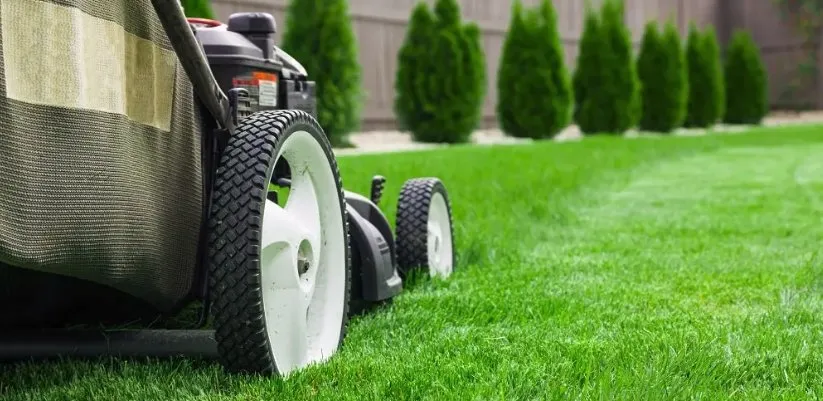 Reliable residential landscaping experts serving Tallahassee, FL - Gameday Grass