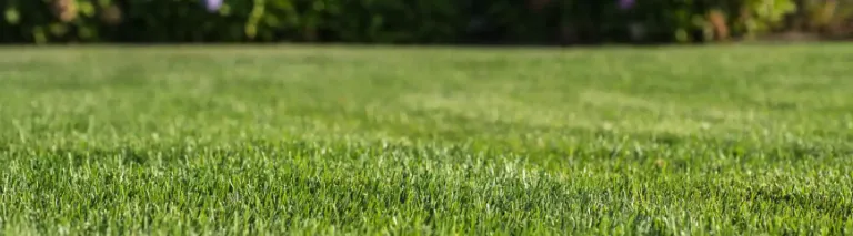 Local lawn mowing service for outdoor upgrades in Tallahassee, FL by Gameday Grass