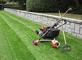 Expert landscaping services near you across Tallahassee, FL - Gameday Grass