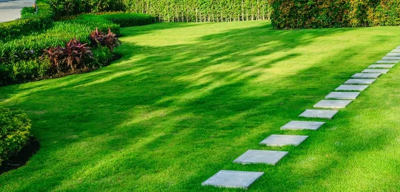 Top-rated lawn care service with custom design in Tallahassee, FL by Gameday Grass