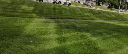 Local landscaping services in Tallahassee, FL by Gameday Grass