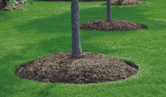 Reliable landscape installation in North Charleston, SC by GameFace ProCare Lawn Services