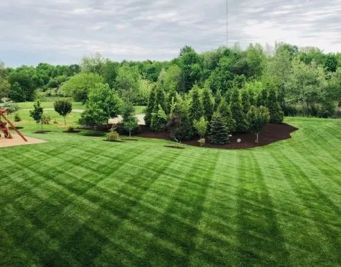 Affordable landscape design experts serving North Charleston, SC - GameFace ProCare Lawn Services