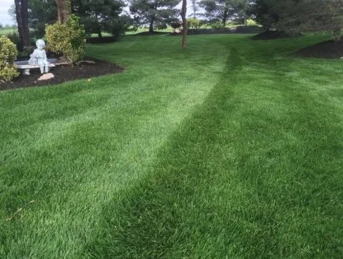 Affordable outdoor landscaping near you across North Charleston, SC - GameFace ProCare Lawn Services