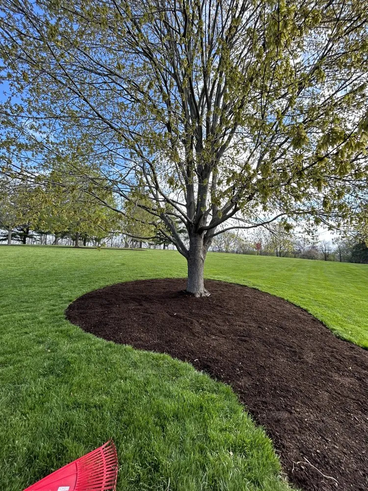 Top-rated lawn care service in Crystal Lake, IL by Gamez