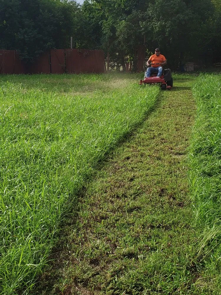 Local landscape installation near you in Dallas, TX by Game'z Landscape