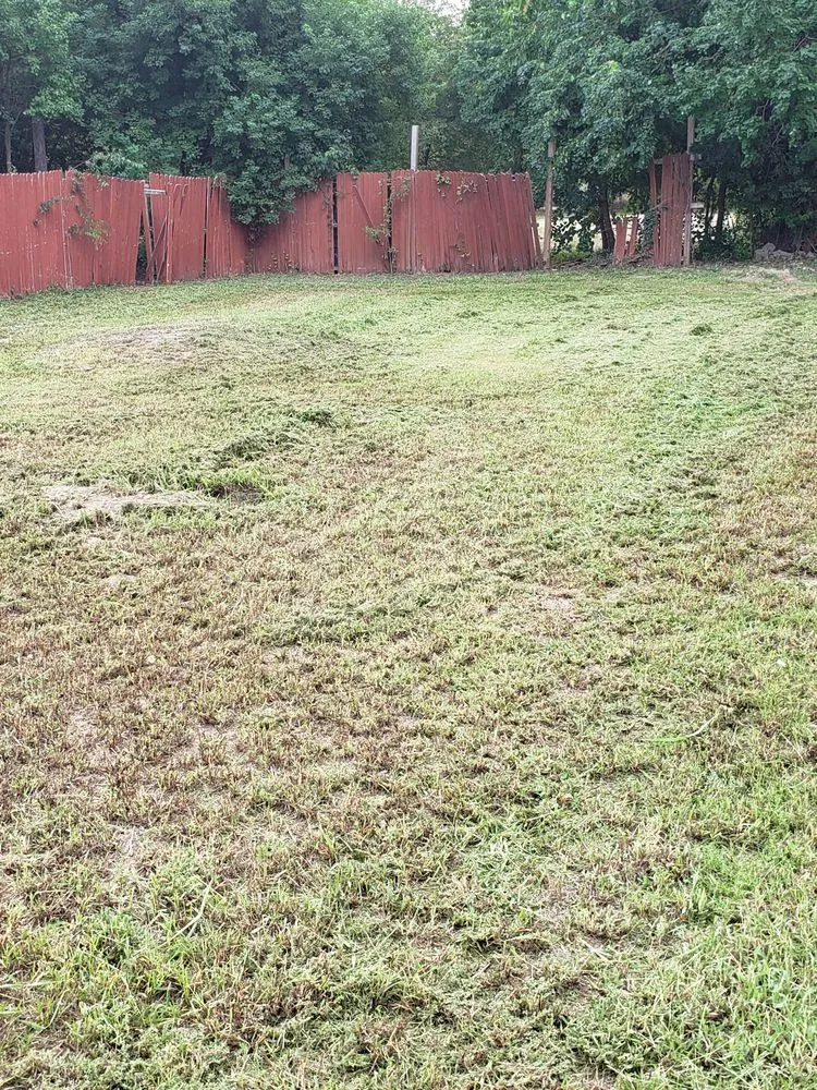 Top-rated yard maintenance in Dallas, TX - Game'z Landscape