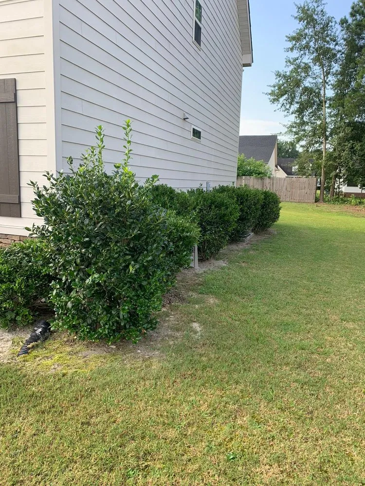 Top-rated landscaping services for year-round maintenance across Hope Mills, NC - Gamez Landscaping