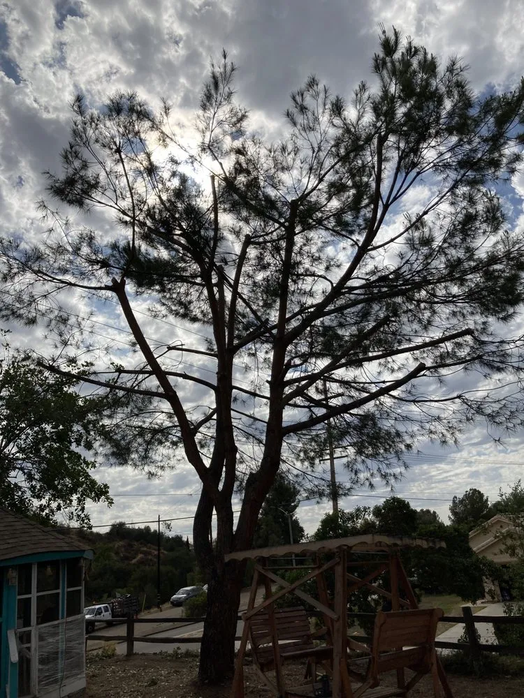 Top-rated landscape design for outdoor upgrades across San Diego, CA - Gami Escobar Landscaping