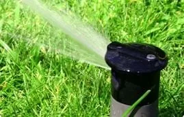 Local garden landscaping in San Diego, CA by Gami Escobar Landscaping