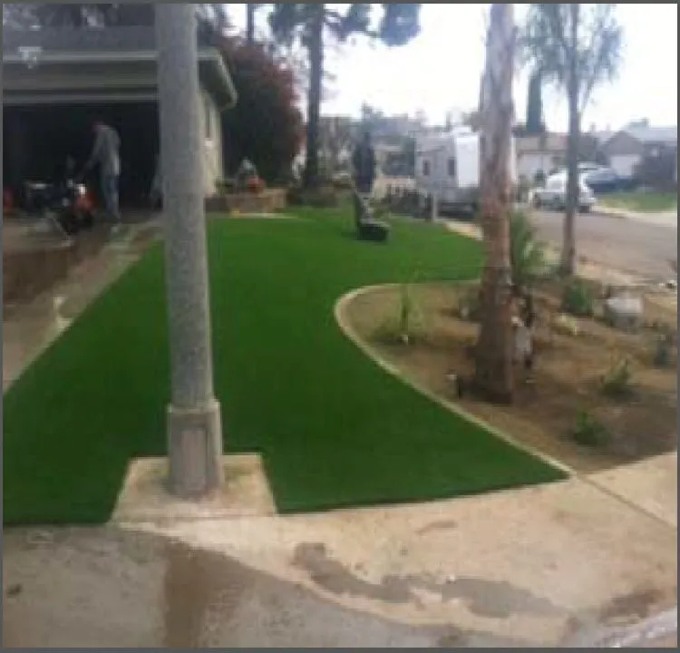 Expert yard cleanup service in San Diego, CA by Gami Escobar Landscaping