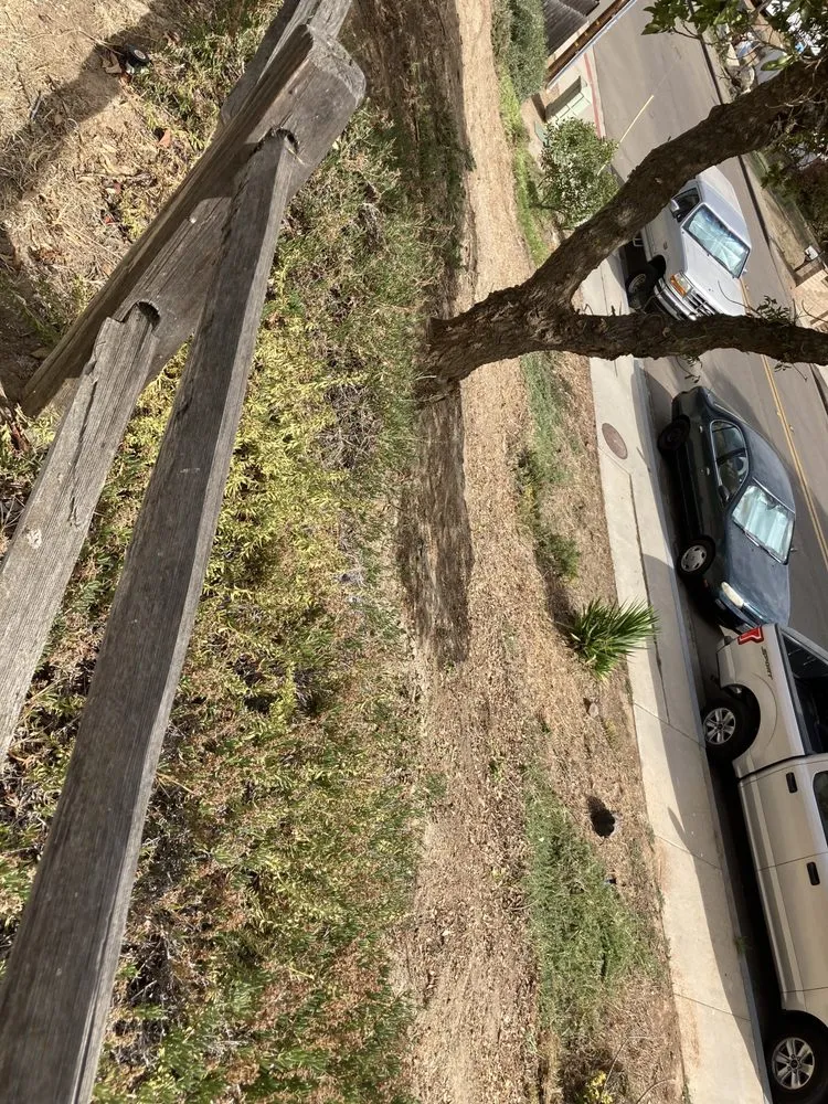 Professional yard cleanup service experts serving San Diego, CA - Gami Escobar Landscaping