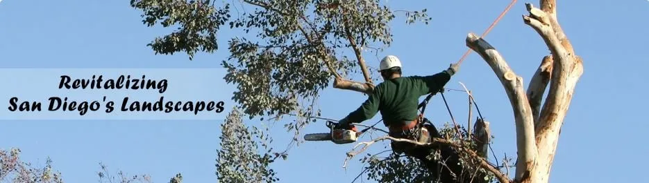 Custom landscape installation in San Diego, CA - Gami Escobar Landscaping