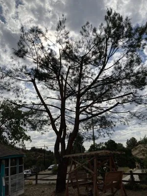 Gami Escobar Landscaping Logo